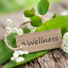 Wellness tag